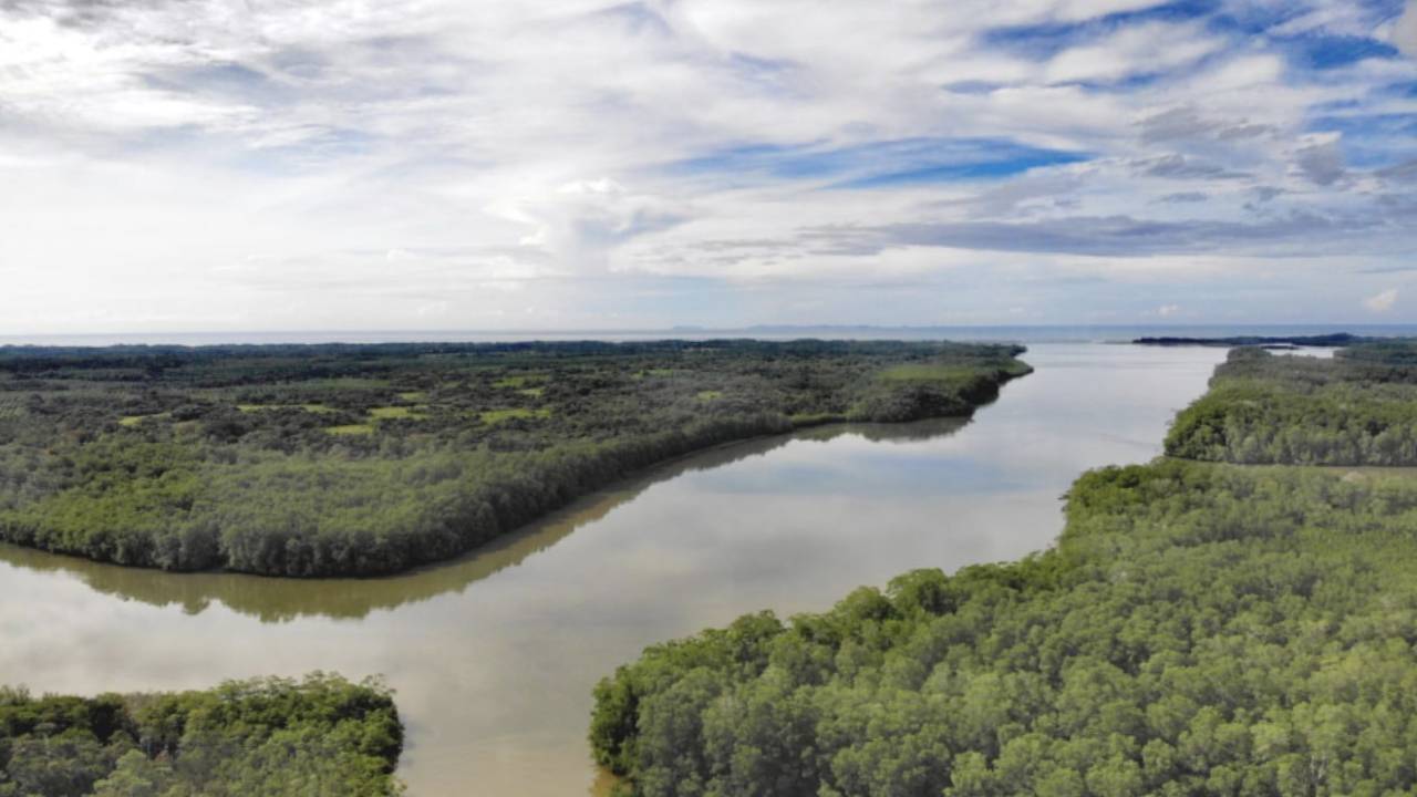 Finca con Potencial Ecológico
