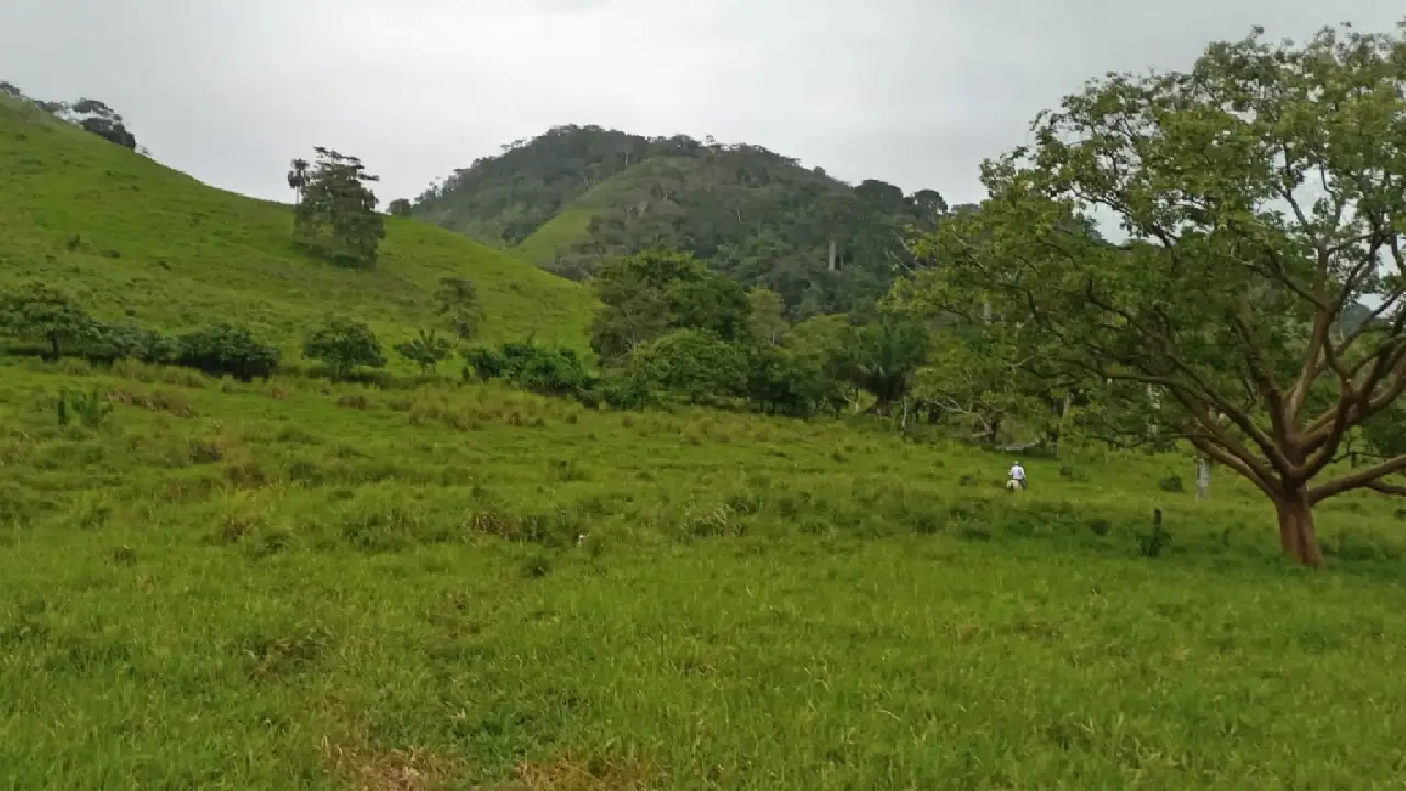 Finca de 1000 Ha. en Metetí
