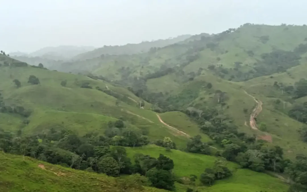 Finca de 1000 Ha. en Metetí