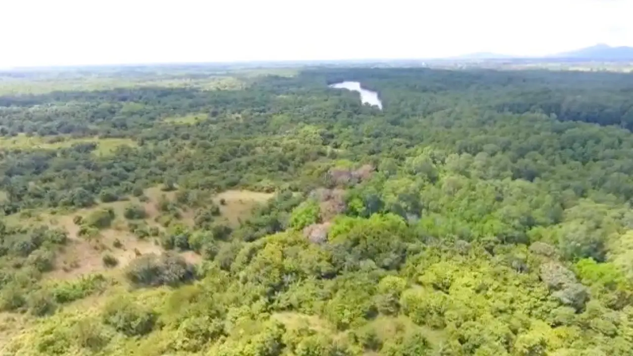 Finca Inversiones Luna