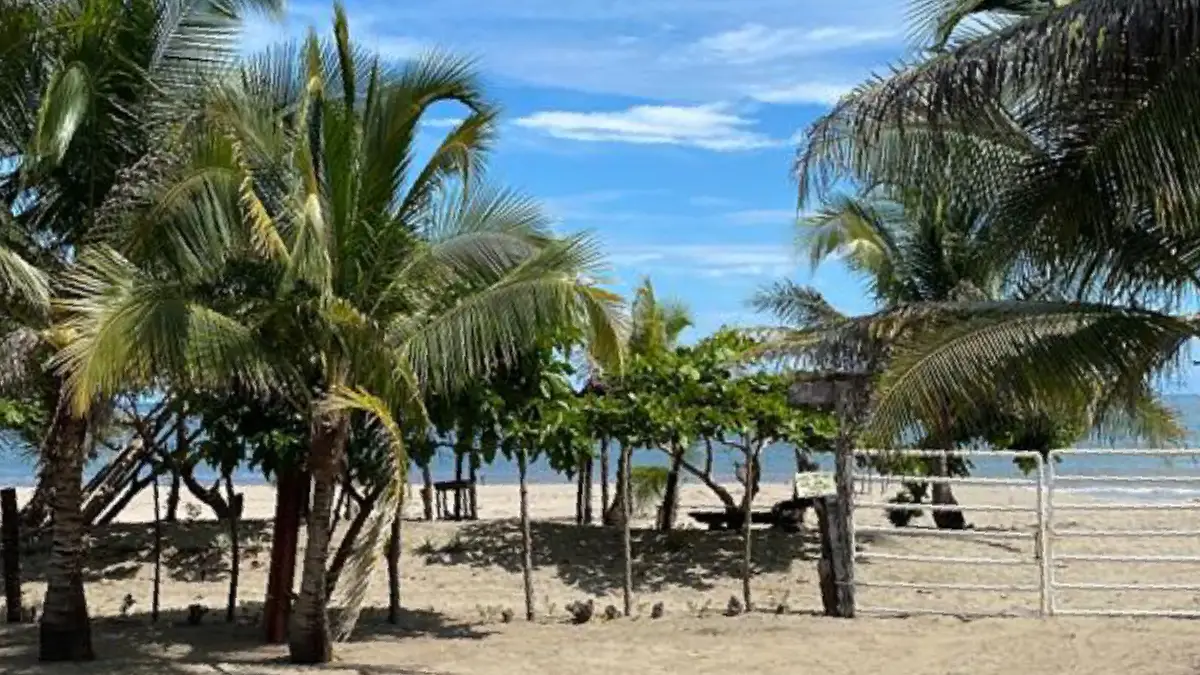 Finca Frente al Mar en Pocxrí