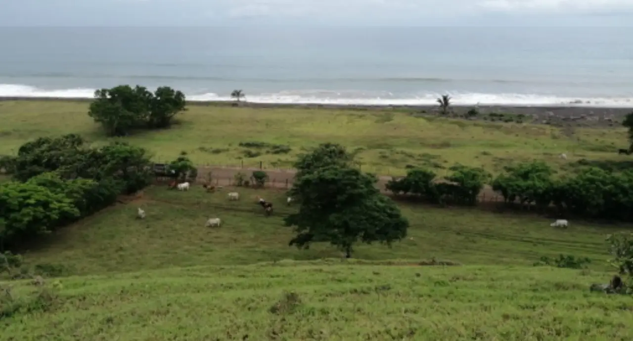 Playa Horcones 17 Ha.