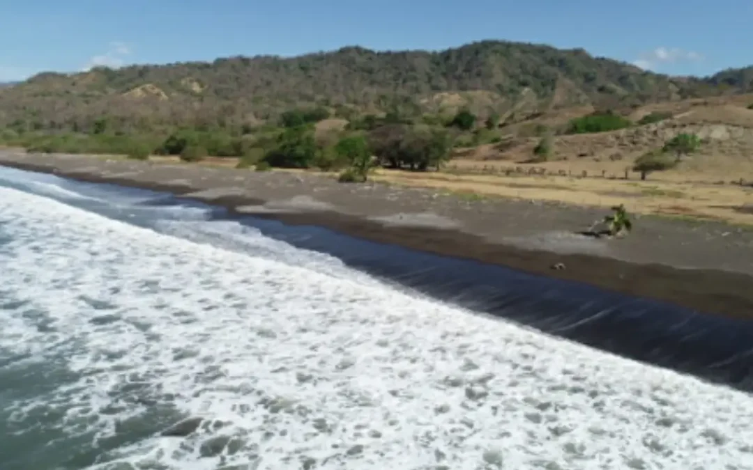 Playa Horcones 17 Ha.