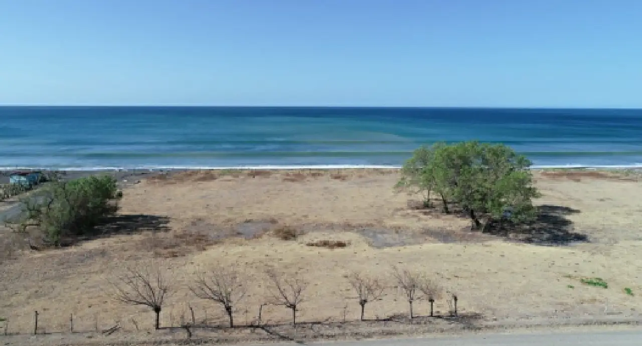 Cantera de alto Potencial de Exportación